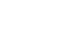 шоу года